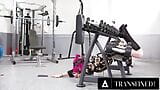 変態-キューティーレナ・ムーンがジムで立ち往生し、利用される大きなペニスに突かれる snapshot 4