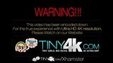 Tiny4k - idealna cipka i cycki, Alexis Adams jest ostro zerżnięta snapshot 1