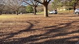 Girl doing Yoga Workout at Park with no Bra and Boobs Slip o snapshot 4