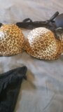 Reggiseni e mutandine del vicino snapshot 10