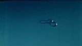 The Blue Balloon- Full Movie  snapshot 19