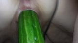 Cucumber fucking! snapshot 5