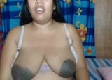 Amateur Asian Big Nipples snapshot 8