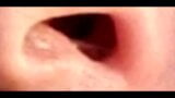 Gay Nasal Vore, Flower Version, Slo-Mo Zoom snapshot 3