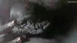 巨大な黒い陰唇とクリトリス snapshot 1