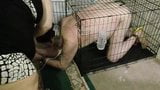 Put doggy in cage snapshot 13