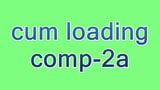 cum loading comp-2a snapshot 1