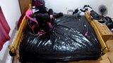 Another Sissy Hogtie snapshot 2