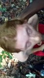 Thick cum facial in woods snapshot 6