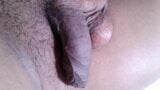 7 o'clock in the morning in Brazil and look at how I woke up, wanting a blowjob XHAMSTER VIDEO 143 snapshot 5