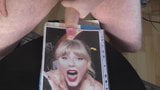 taylor swift tribute snapshot 2