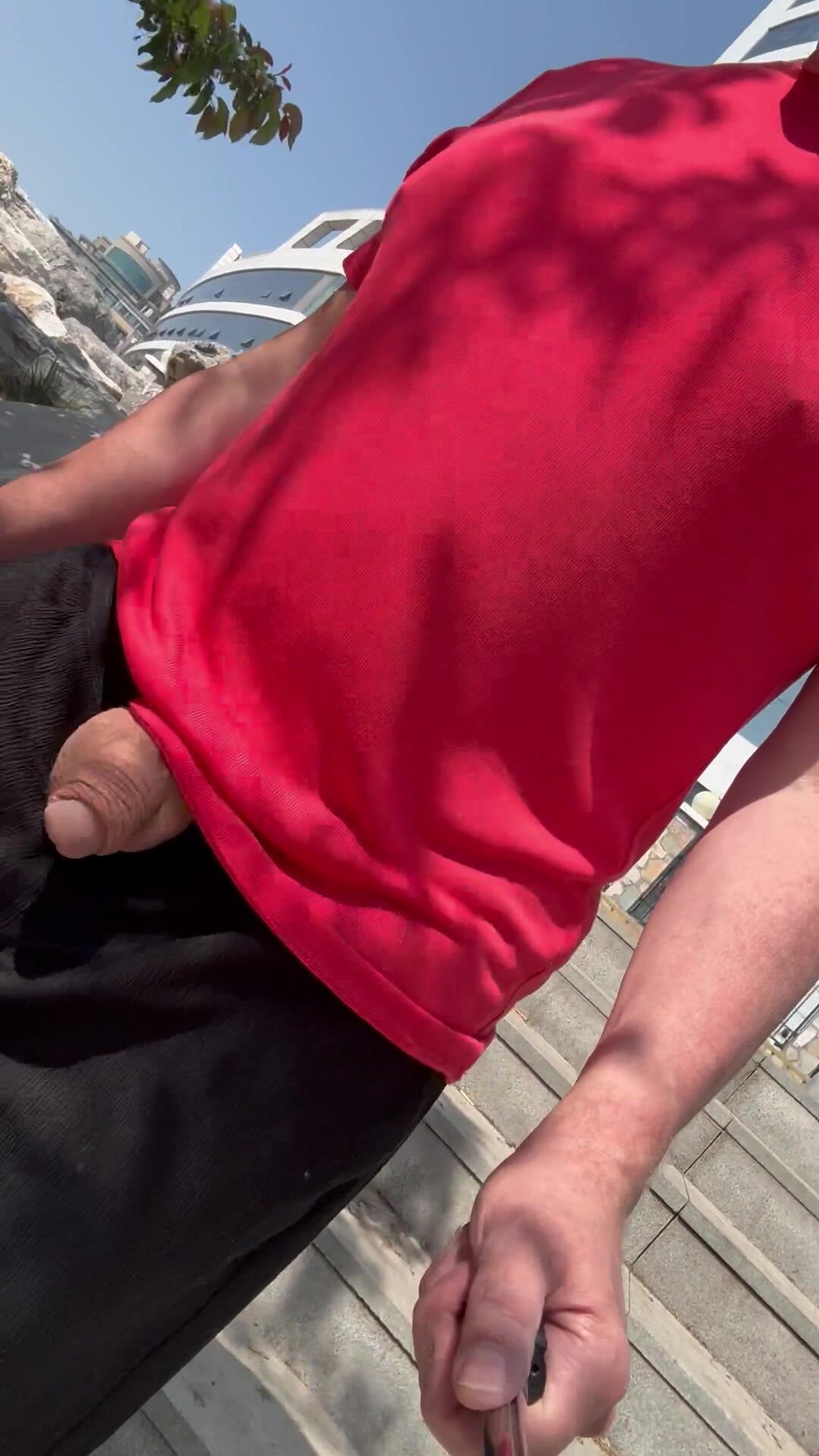 Showing my dick in the street