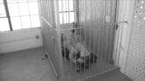 Lesbische gevangenisbewakers gebruiken vrije tijd voor seks snapshot 7