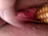 uni corn snapshot 1