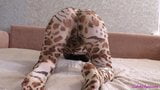 Teen Blowjob Big Dick and Footjob in Leopard Costume snapshot 3