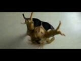 Holly Valance Dead or Alive Sexy Scene snapshot 4