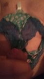 Tribute to my stepdaughter tights an panties snapshot 3