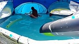 Bbc fode buceta branca casada na piscina snapshot 6