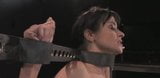 Cecelia memancut mani pada sybian snapshot 14