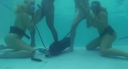 Quatuor à la piscine