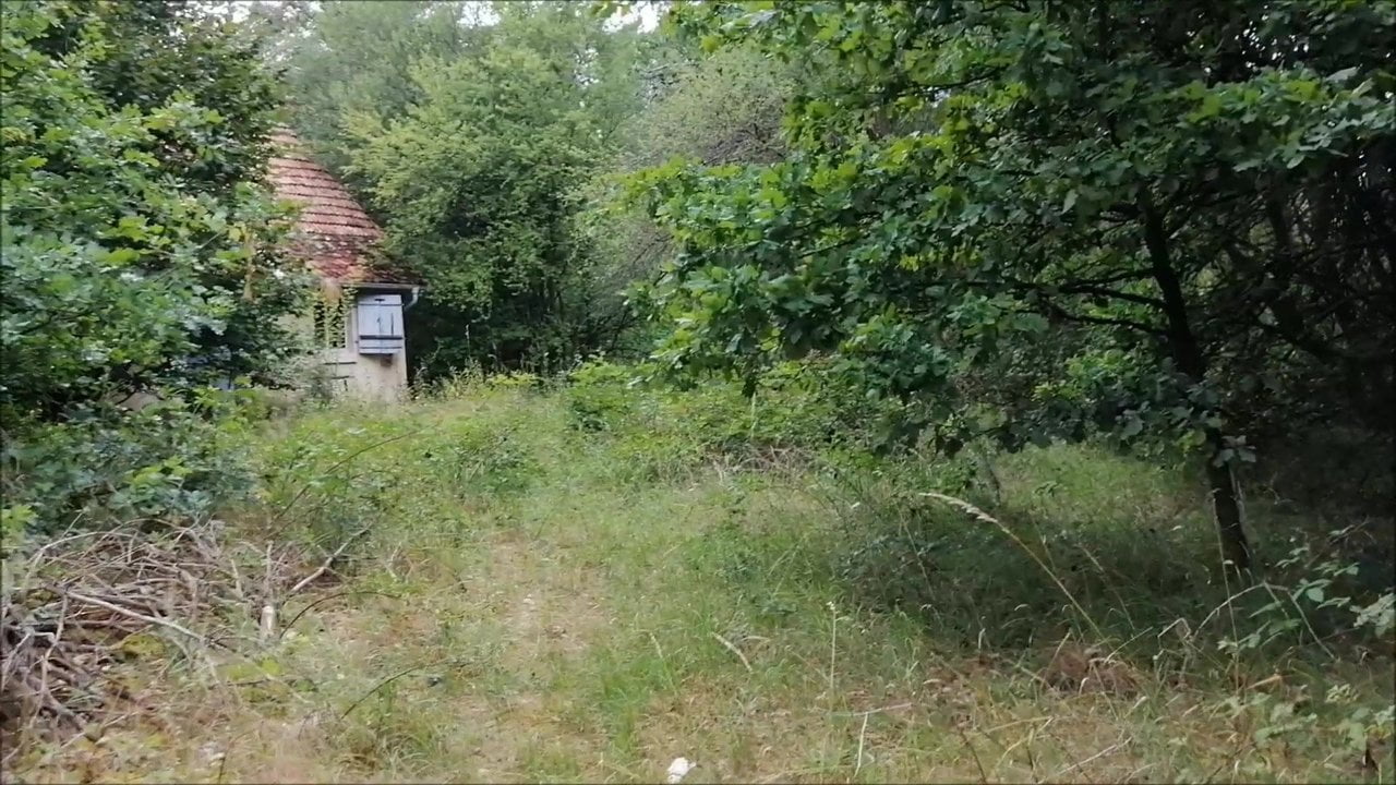 Verlaten boshuis bezocht en rukte
