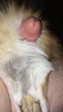 Jerking off with Fox Fur snapshot 3