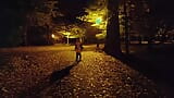 She flashing tits and undresses in a public park at night snapshot 20