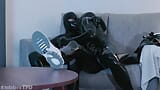 HOTEL COLLECTION - SCALLY GIMPS snapshot 15