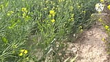 bhabi ki gand dekh kar sarso ke khet me mooth mari snapshot 2