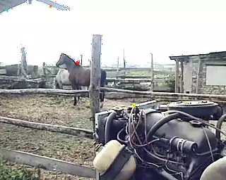 Superb German Babe Fucked on the Farm: Amateur Porn | xHamster