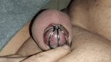 Fat Sissy Pig Tiny Clit 7 Days In Chastity snapshot 3