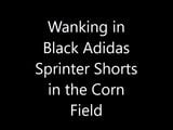 Aftrekken in zwarte adidas -sprintershort in het veld snapshot 1