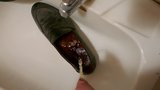 Piss in men's dress shoe snapshot 4