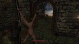 Perils of escaped Skyrim slavegirl 18 snapshot 3