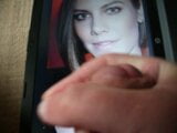 Homenagem a Lauren Cohan snapshot 3