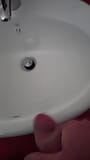 Cum shot in ladies toilet. snapshot 2