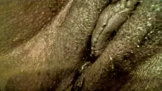 Lady Rae Big Pussy: American Porn | xHamster