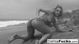 Dahlia được nghịch ngợm và phun tất cả trên bãi biển snapshot 5