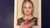 Трибьют для Sophie Turner snapshot 9