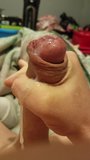 My cock snapshot 4