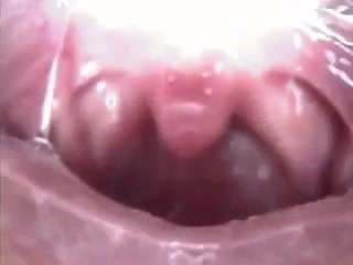 Japanese Mouthcam Vore: Amateur Amateur Porn | xHamster