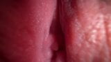 Wide close up pussy spreading and dirty talk snapshot 3