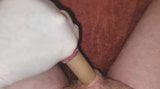 Pequeno pau ereto em um tubo. cogumelo muito sensível oh sim snapshot 9