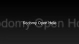 SODOMY OPEN HOLE snapshot 1