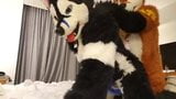 Speel fursuit met een vriend snapshot 1