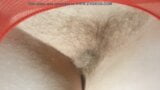 pussy hairy x2 snapshot 4