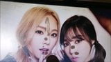 SNSD Taeyeon and Tiffany cum tribute snapshot 9