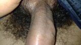 Desi fucking big cock snapshot 4