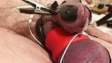 Estim Chastity Cage - 7inch dick stuffed into a one inch estim cage. Hands free orgasm snapshot 8