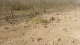 Walking through the desert looking for the cactus that increases the size of the stick. snapshot 3